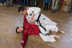 120-let-sokola-v-jevisovicich-2018-13