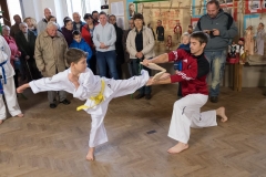 120-let-sokola-v-jevisovicich-2018-16