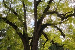 IMG_20250927_113155-scaled
