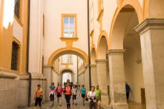 na-kole-z-melku-do-kremsu-2018-06