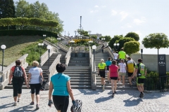 na-kole-z-melku-do-kremsu-2018-07