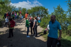palava-2014-08