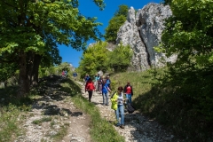 palava-2014-14