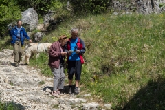 palava-2014-15