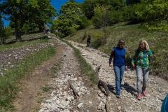 palava-2014-16