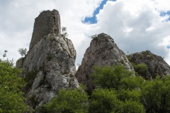 palava-2014-20
