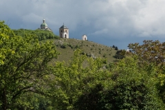 palava-2014-25