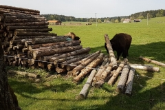slavonice_2019_24